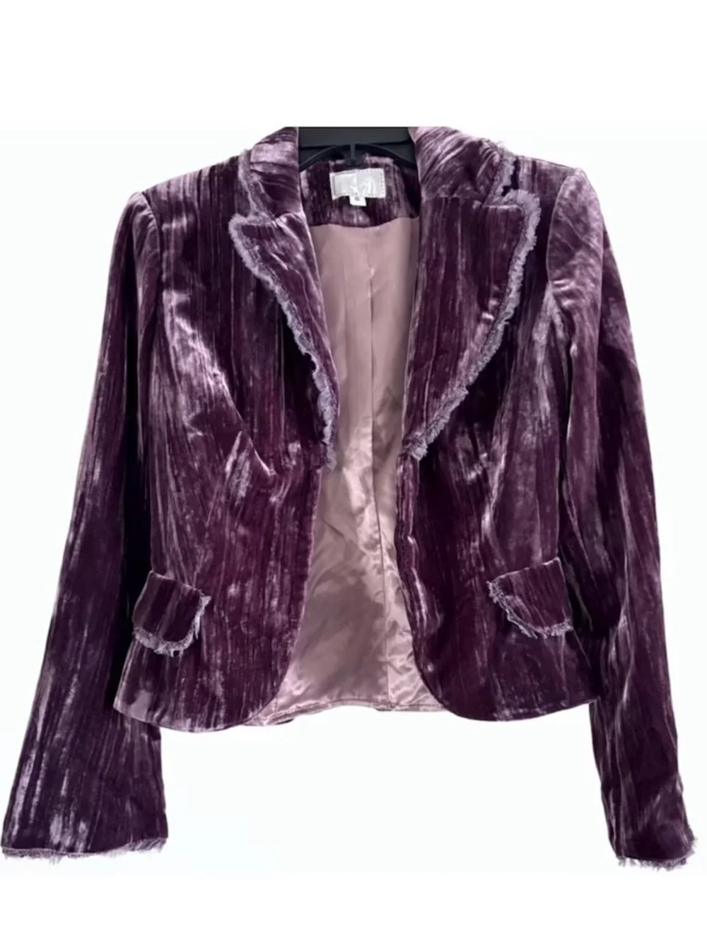 Alberto Makali Velvet Plum Blazer Jacket 6 Rayon Silk Y2K Renfair NWT Vintage